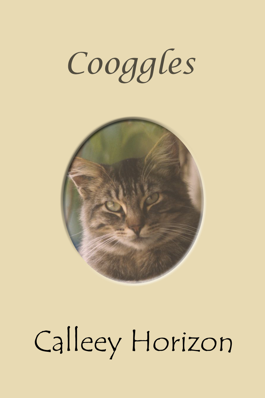 Cooggles Book Cover