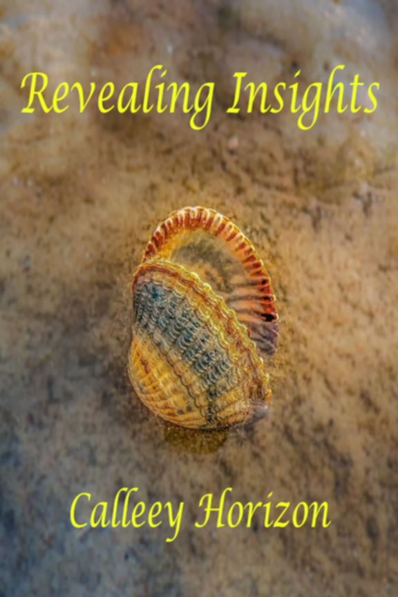 Revealing Insights Cover